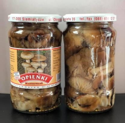 opienki-marynowane-416px.jpg
