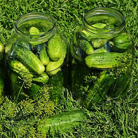 cucumbers-vegetables-eating-kitchen-preview.jpg
