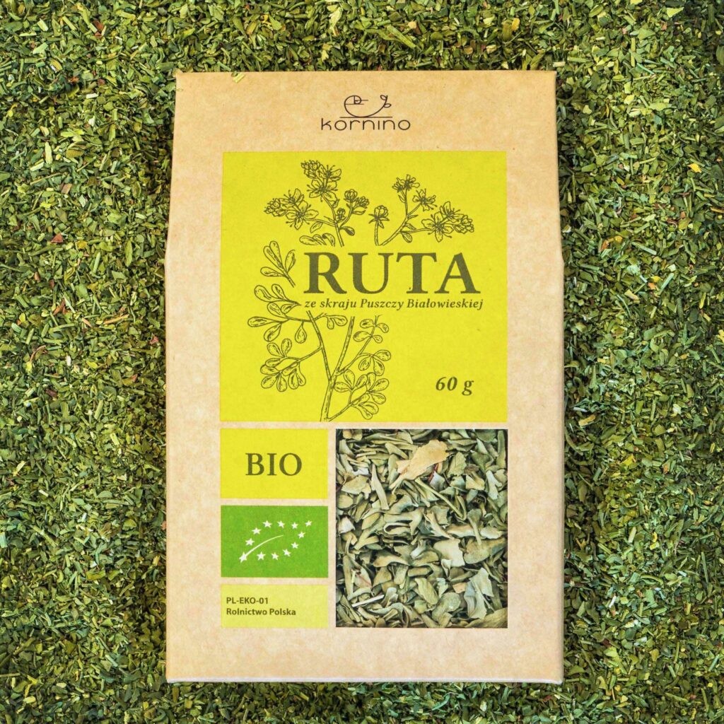 ruta_1-1024x1024.jpg