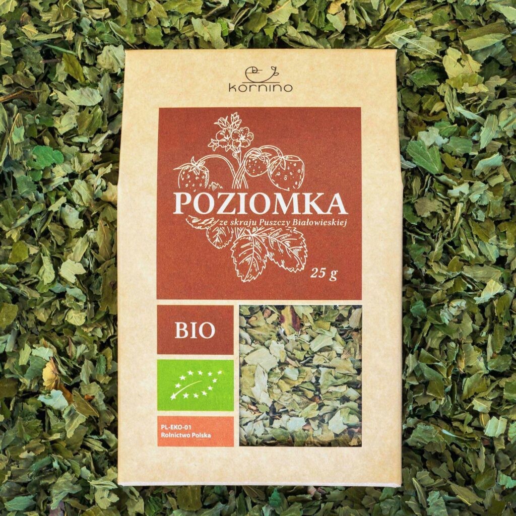 poziomka_1-1024x1024.jpg