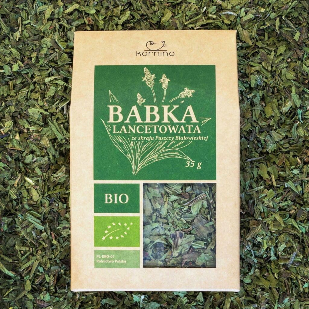 babka_1-1024x1024.jpg