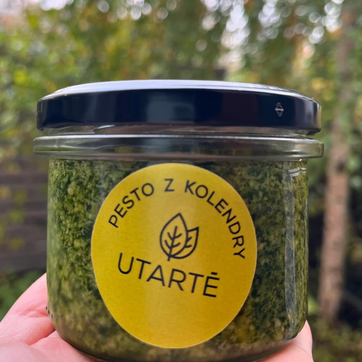 pesto z kolendry.jpg